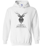 Tribe of Naphtali Tees and Hoodies
